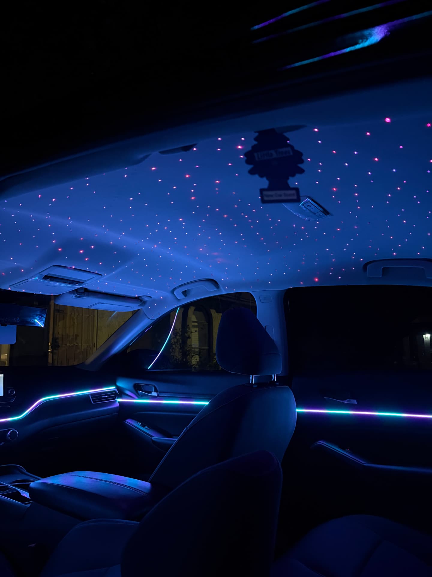 Blue starlight headliner and ambient door strips